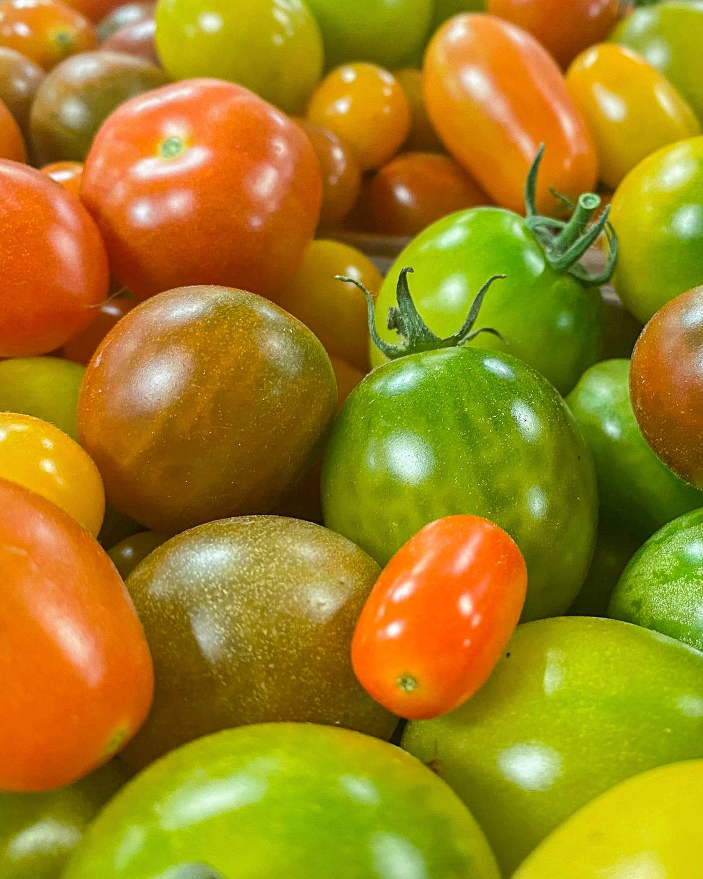 Surtido de tomates cherry de Coín 500g