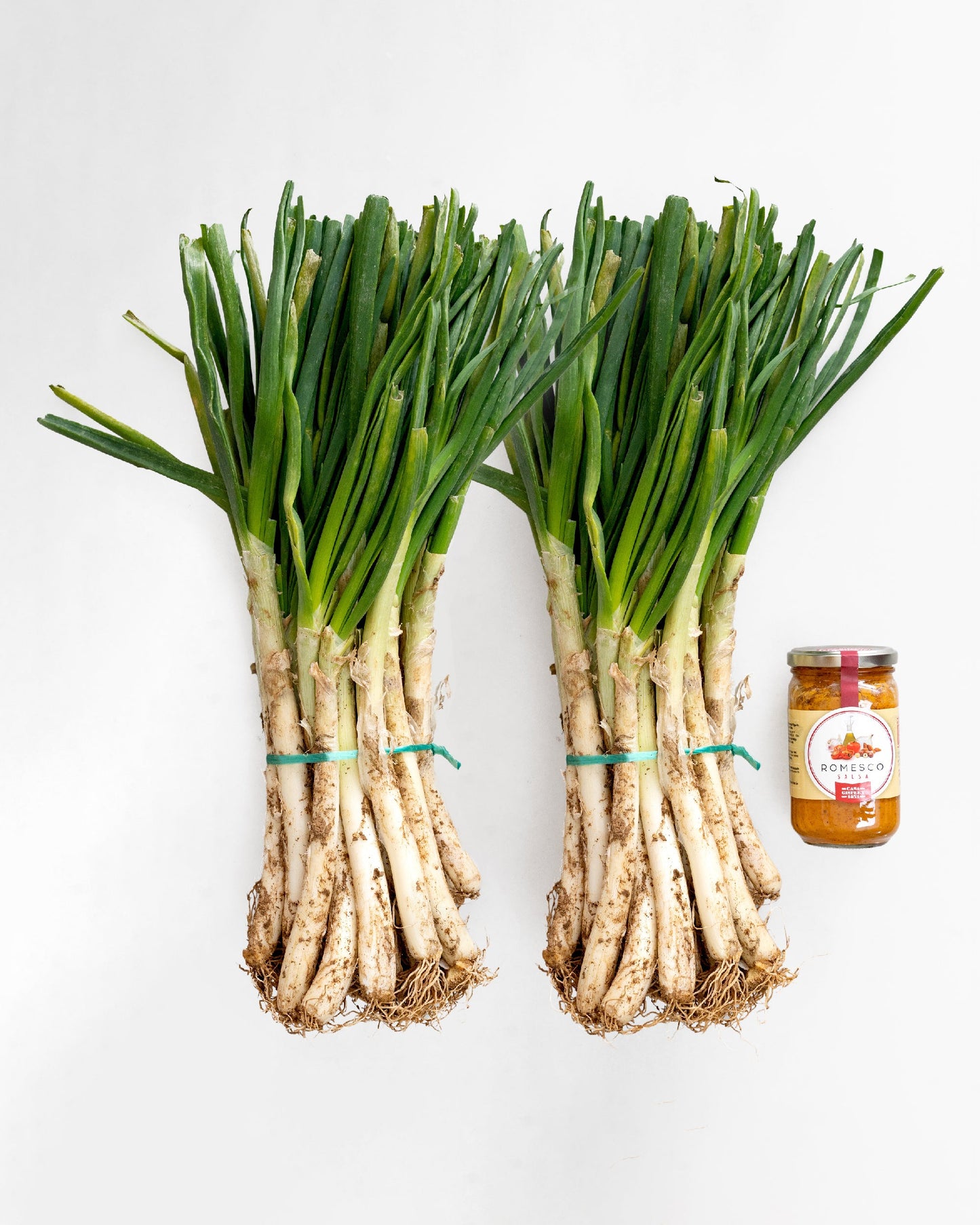 Especial calçotadas