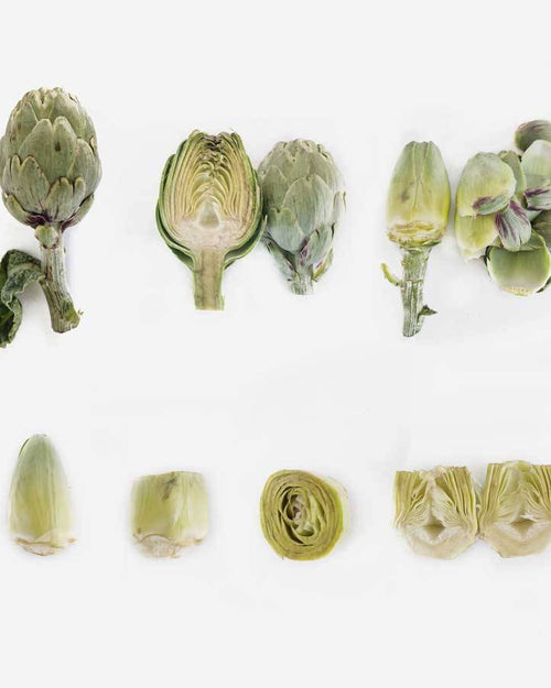 Alcachofa blanca de Tudela