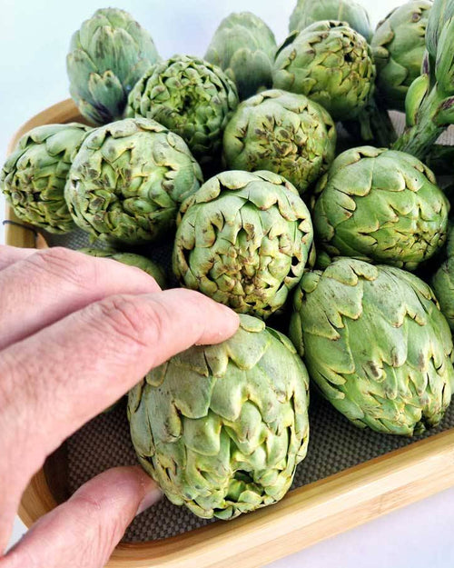 Alcachofa blanca de Tudela