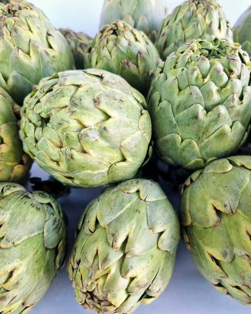 Alcachofa blanca de Tudela