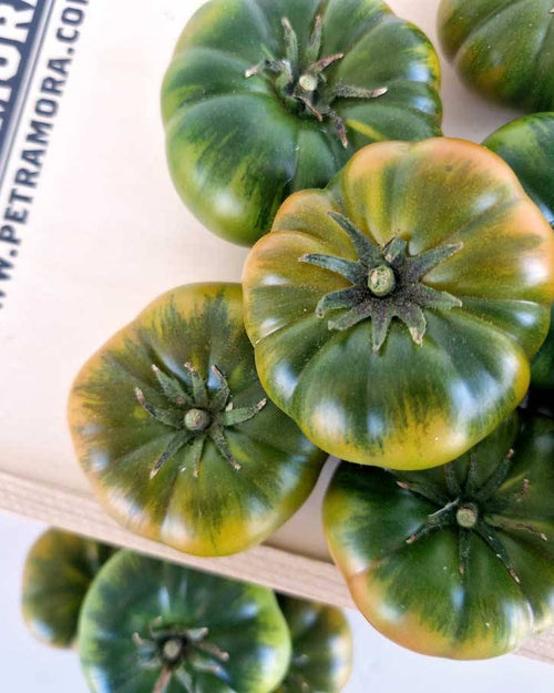 Tomate Mini RAF asurcado