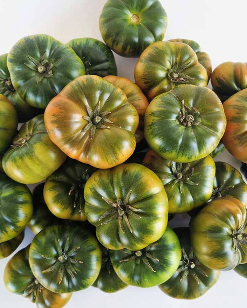 Tomate Mini RAF asurcado