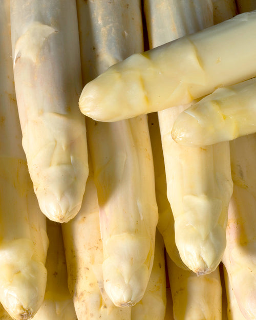 Manojo de espárragos frescos de Navarra