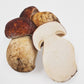 Boletus pinicola fresco 500 g