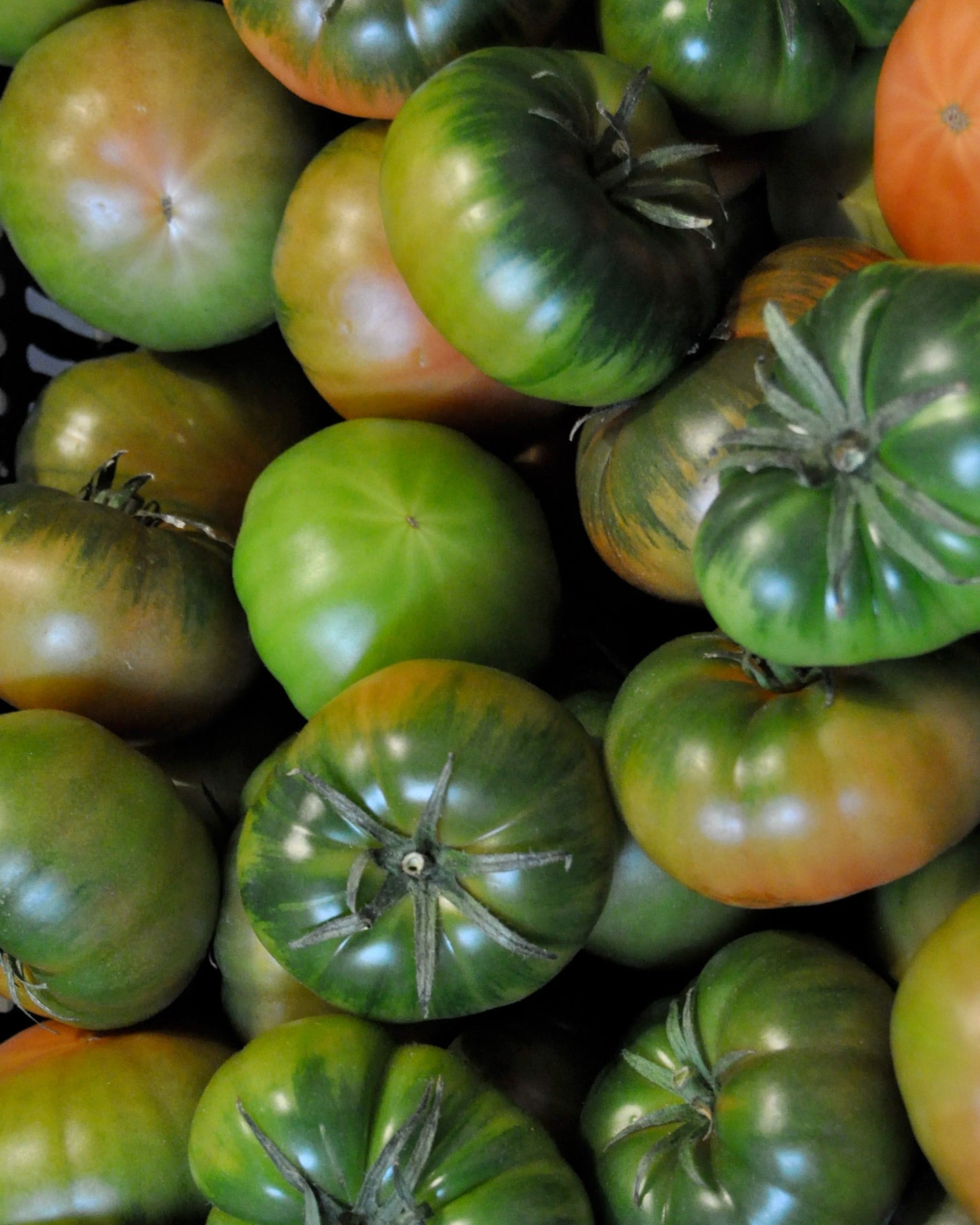 Tomate Raf asurcado 800 g