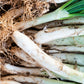 comprar calçots