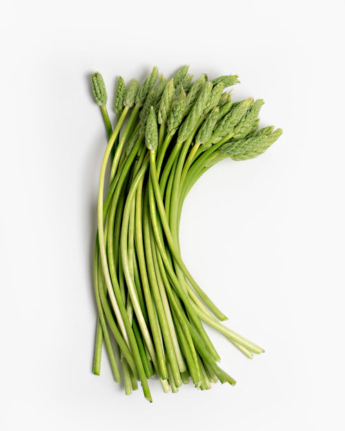 Trigo verde fresco (Ornithogalum Pyrenaicum) 200 g