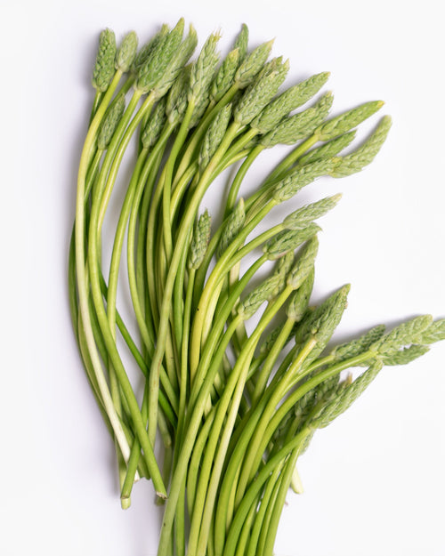 Trigo verde fresco (Ornithogalum Pyrenaicum) 200 g