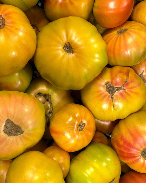 Tomate de Coín huevo de toro 1,5kg