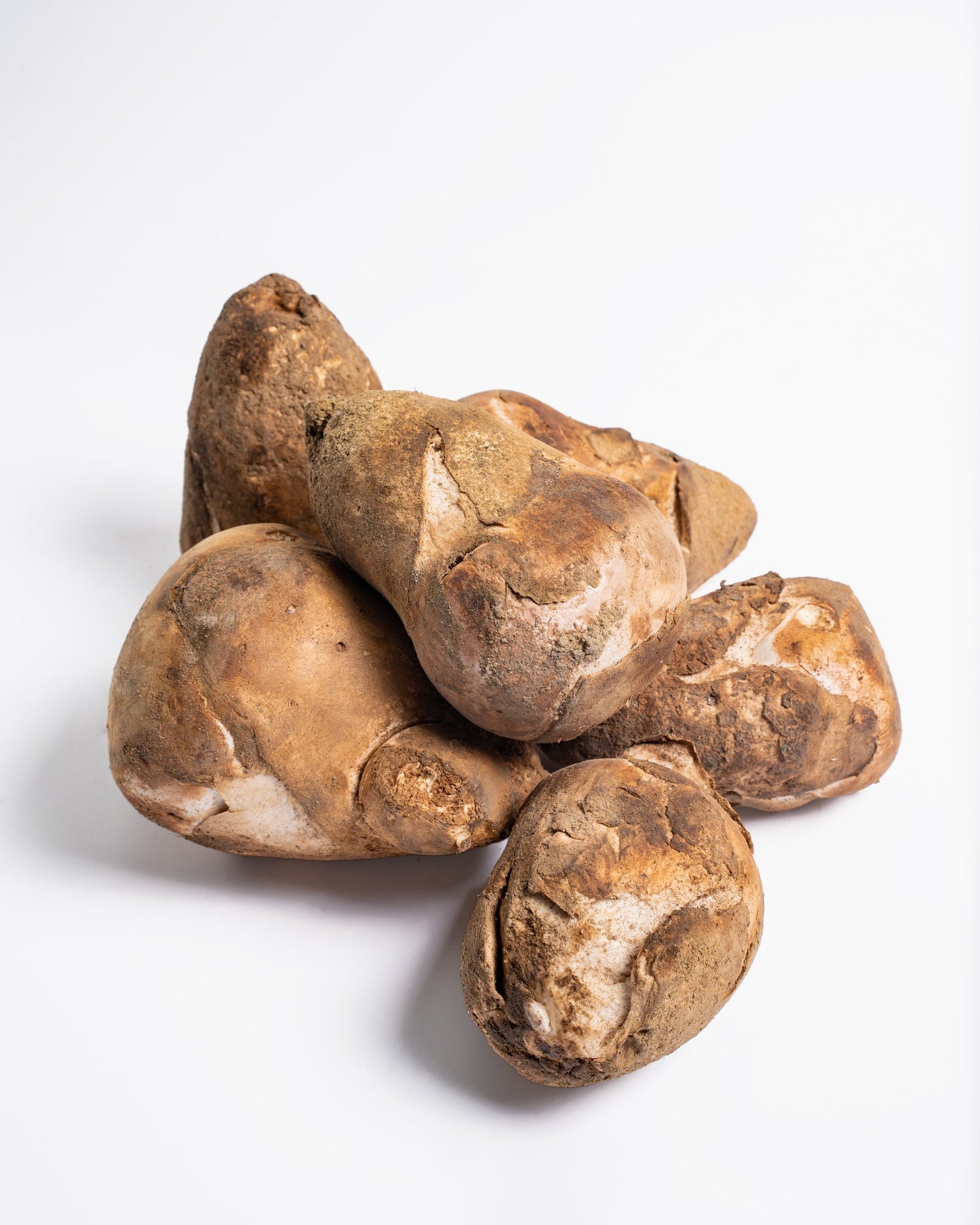 gurumelos al mejor precio