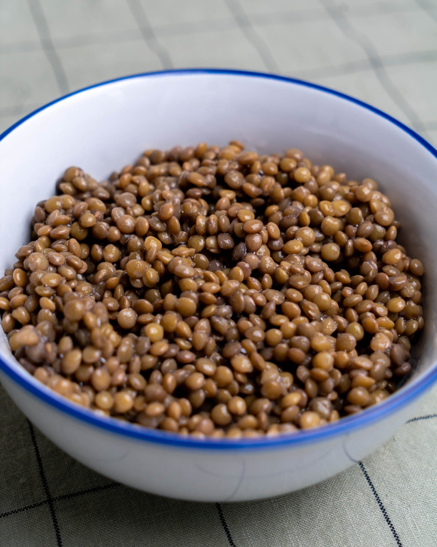 Lenteja pequeña cocida 350 g