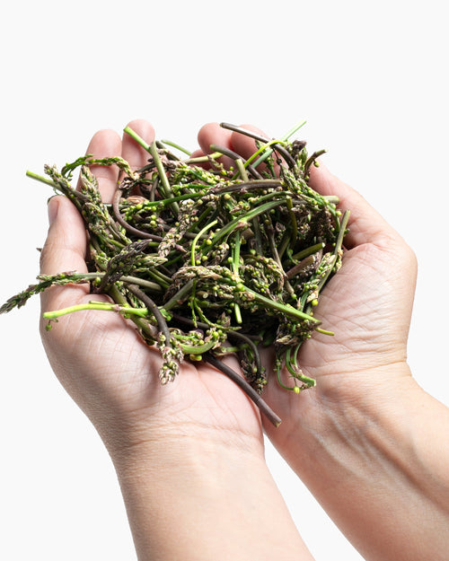 Esparraguines Asparagus Experiencie 125 g