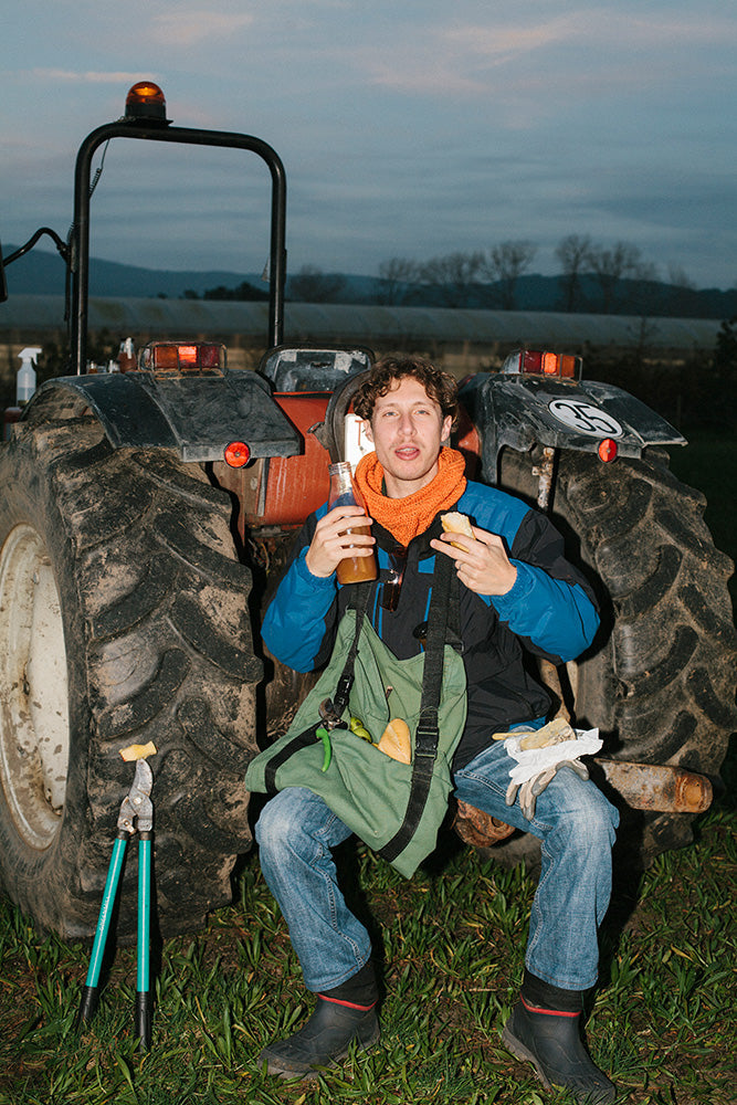 Zumiño de manzana, zanahoria y curcuma 25 cl