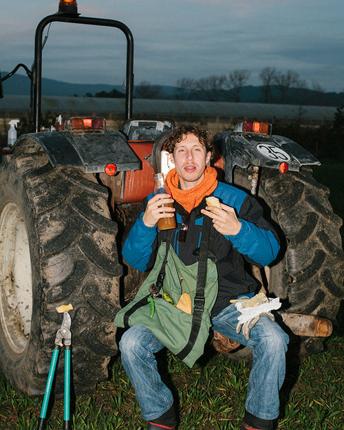 Zumiño de manzana, zanahoria y curcuma 25 cl