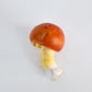 Amanita Caesarea fresca 400 g