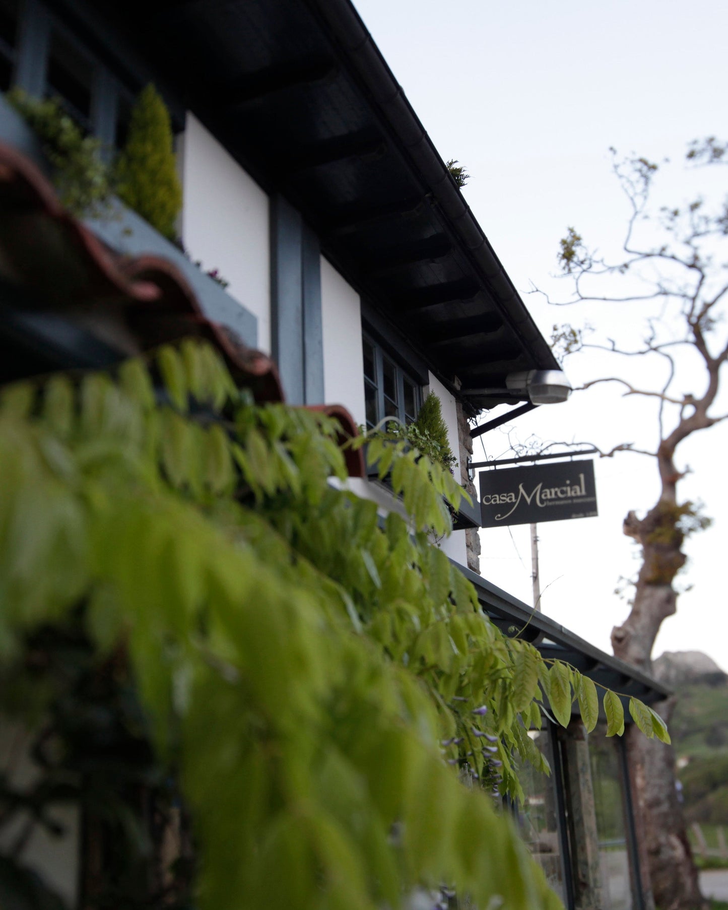 Croquetas de jamón Casa Marcial 12 uds