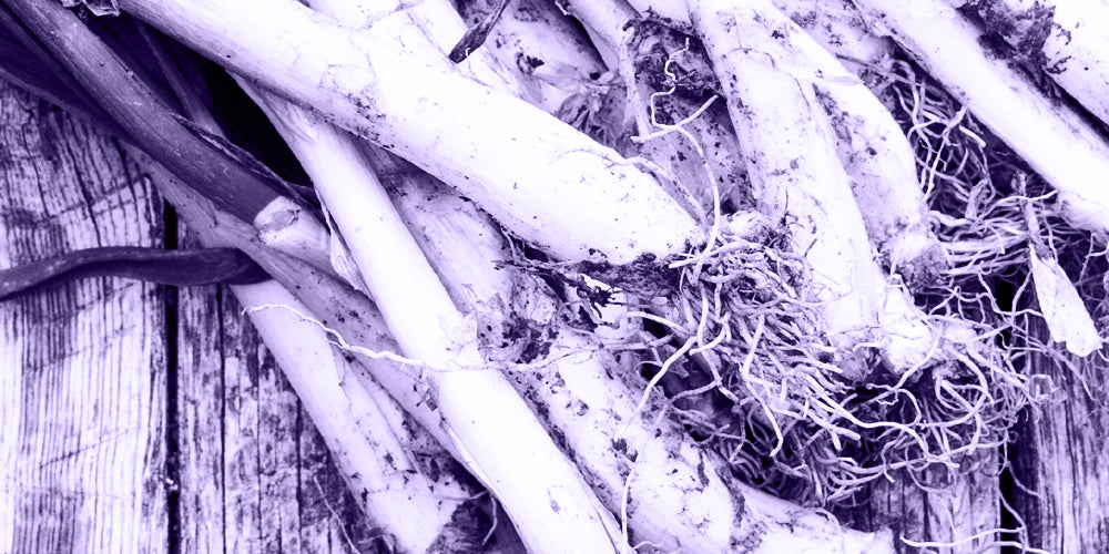 Productos de temporada