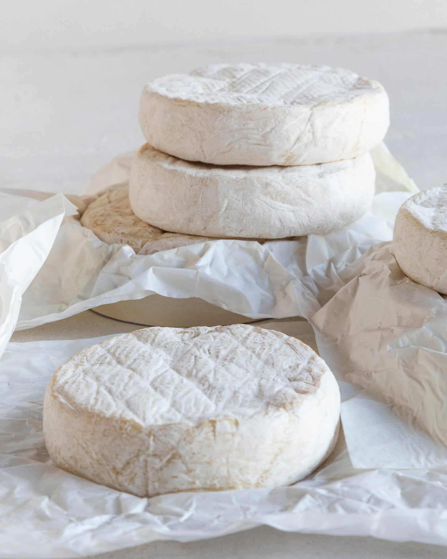 quesos tiernos de oveja