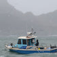 Navajas de las Islas Cies en aceite de oliva 115 g