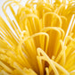 Spaghettini