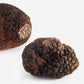Trufa negra