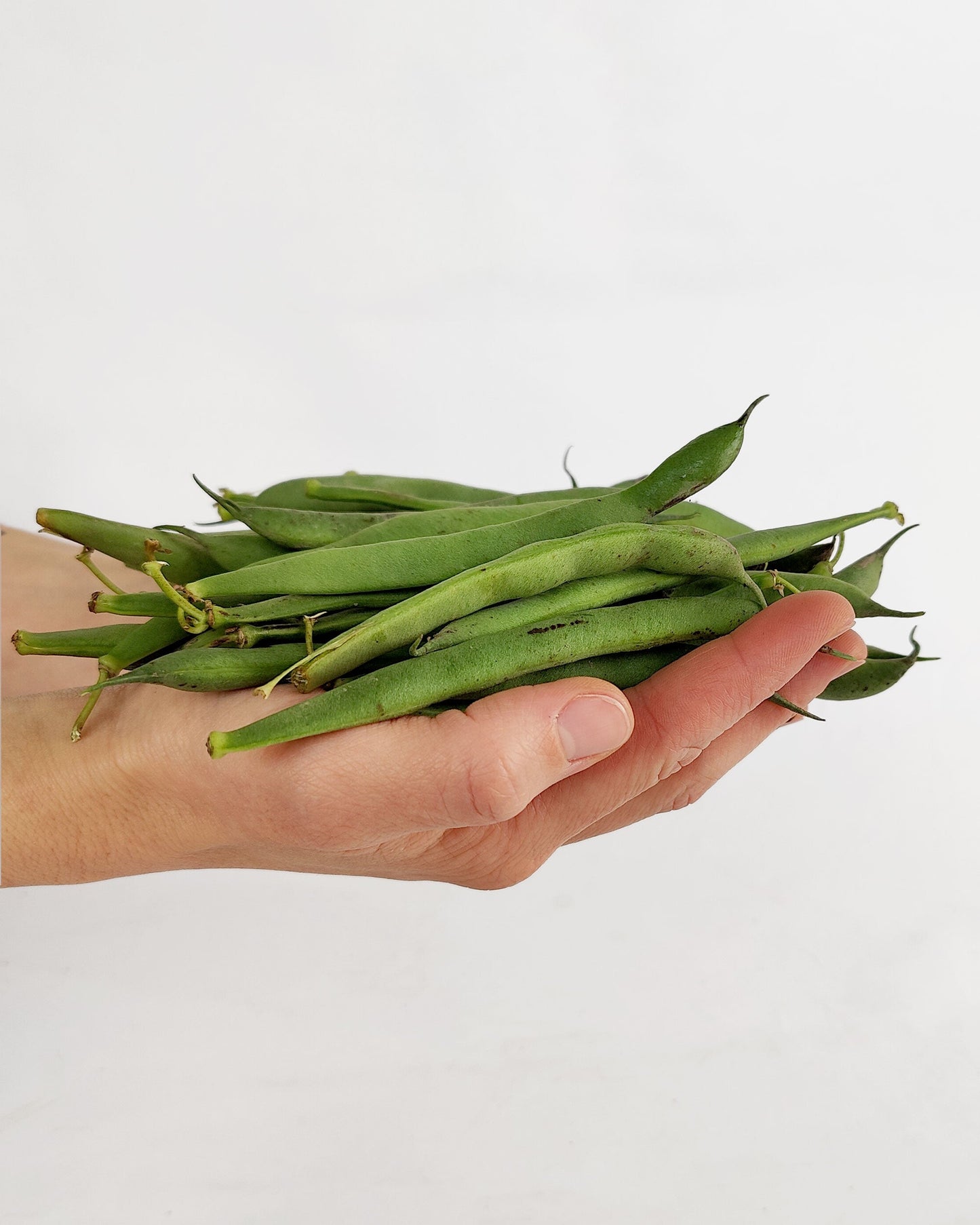 Alubia verdina fresca en verde con vaina 500 g