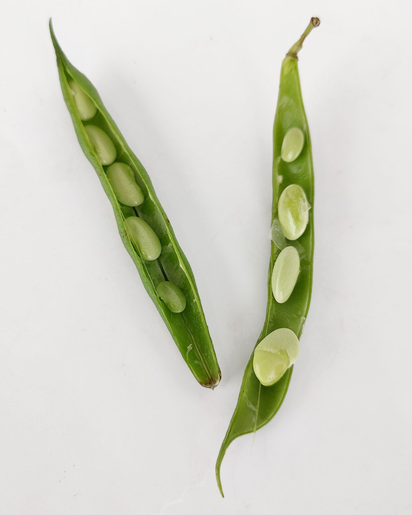 Alubia verdina fresca en verde con vaina 500 g