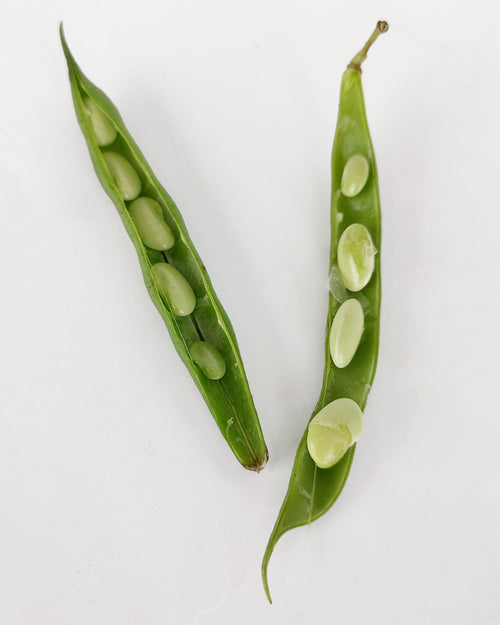 Alubia verdina fresca en verde con vaina 500 g