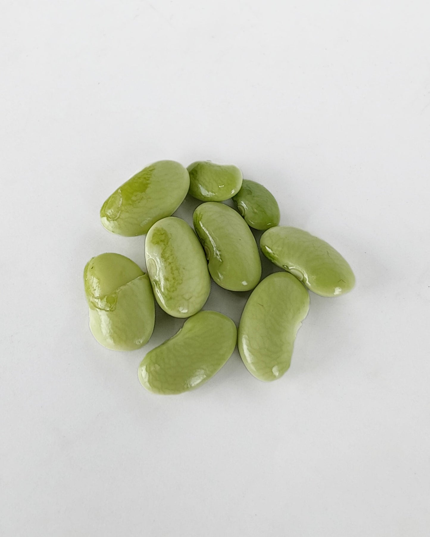 Alubia verdina fresca en verde con vaina 500 g