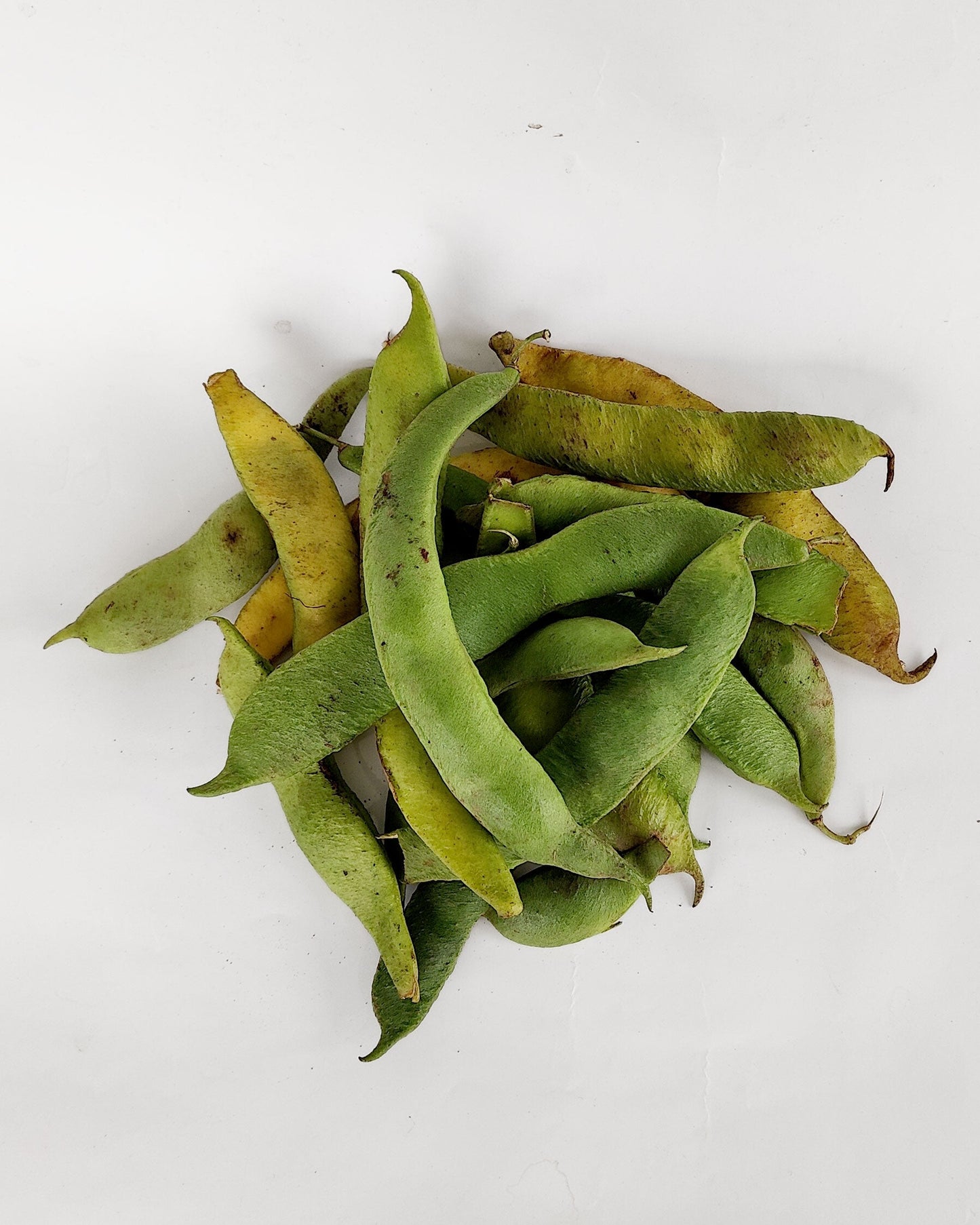 Judión fresco en verde con vaina 500 g