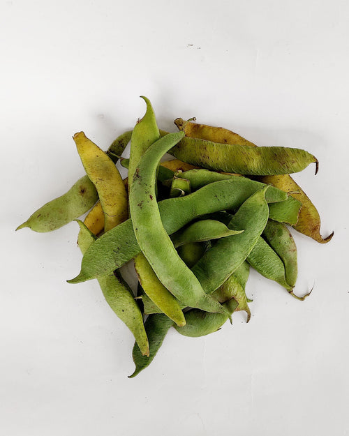 Judión fresco en verde con vaina 500 g