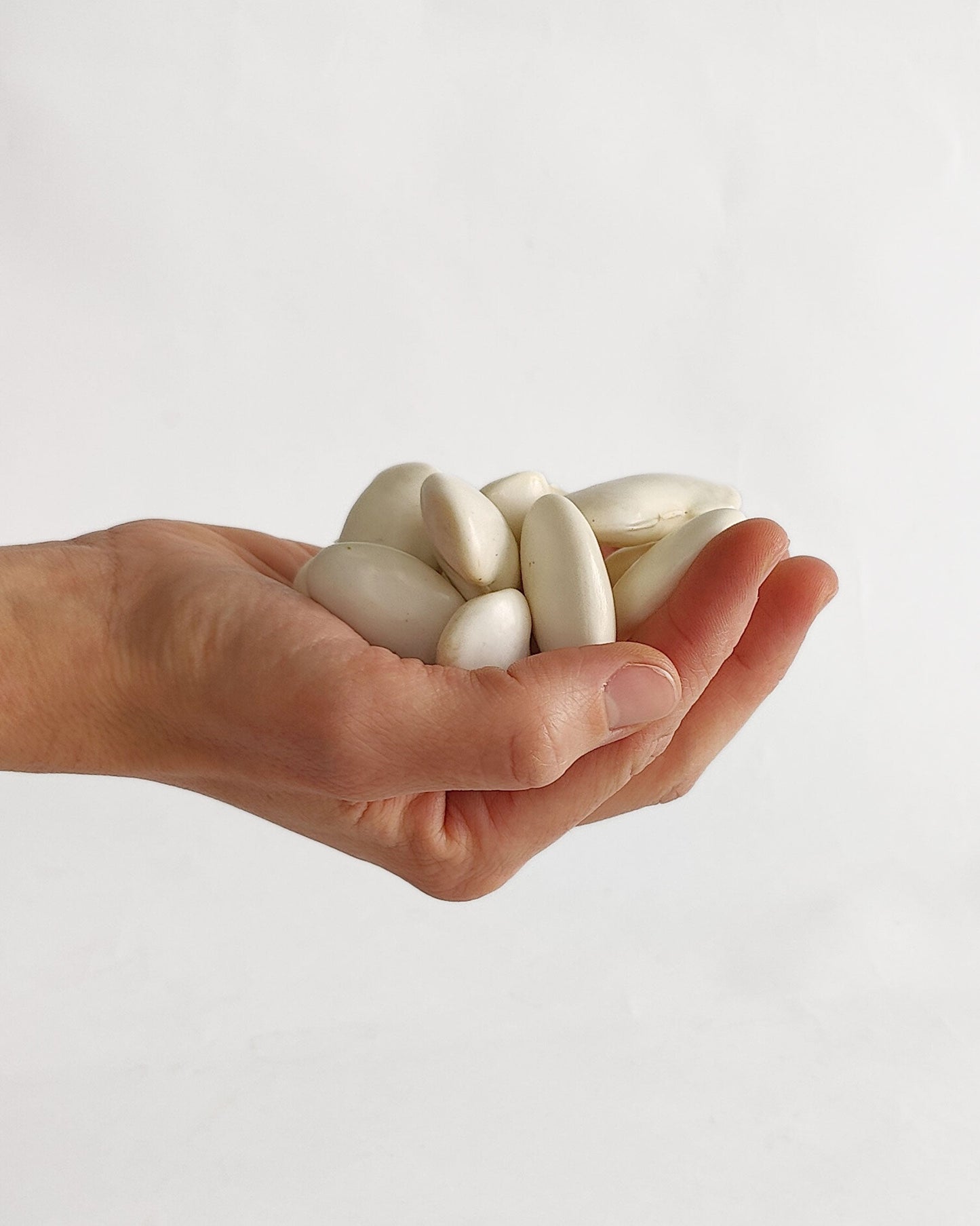 Judión fresco en verde con vaina 500 g