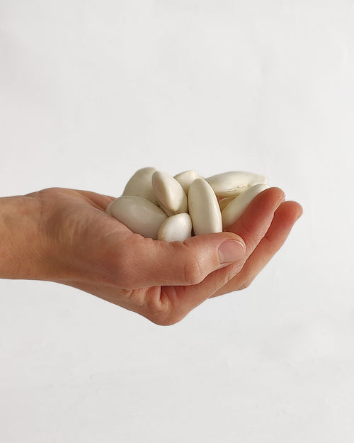 Judión fresco en verde con vaina 500 g