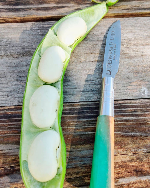 Judión fresco en verde con vaina 500 g