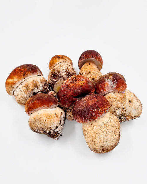 Boletus pinicola fresco 500 g