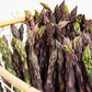 Espárragos Púrpura 500 g