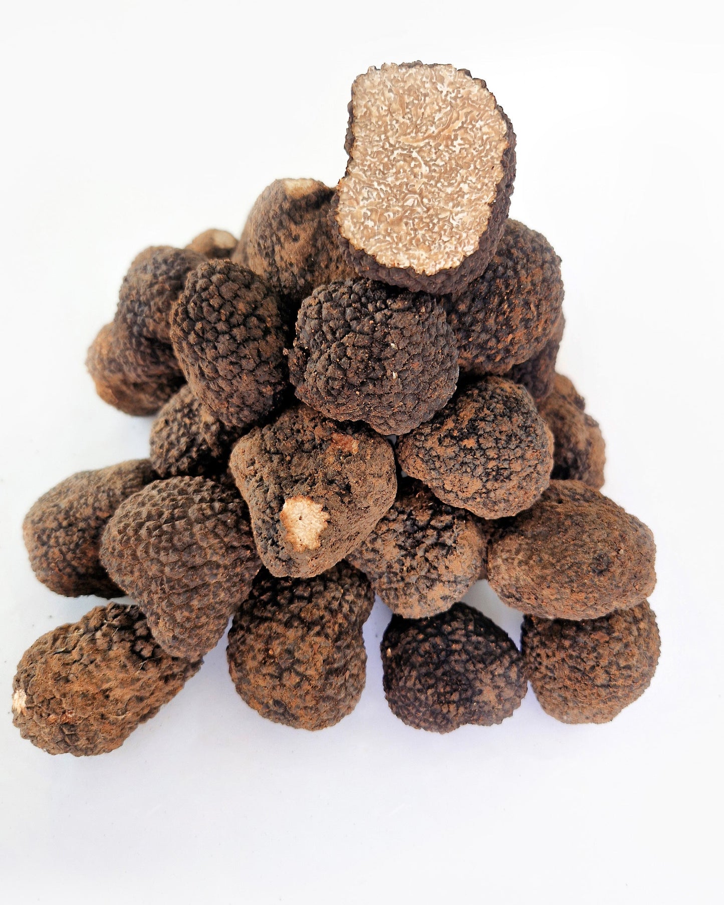 Trufa de verano Aestivum fresca