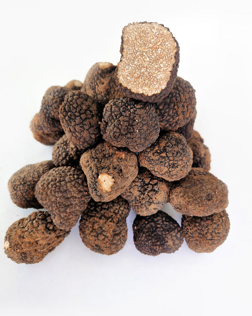 Trufa de verano Aestivum fresca