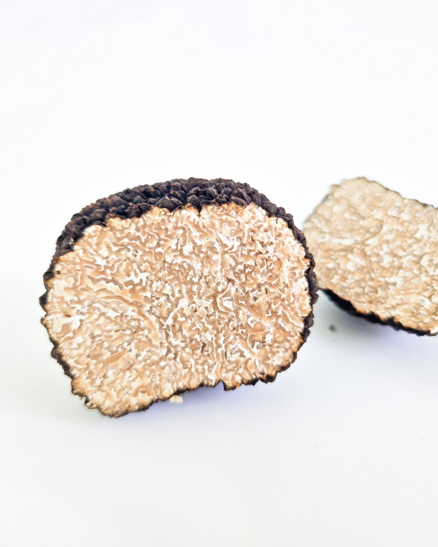 Trufa de verano Aestivum fresca