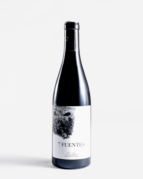7 fuentes 2019 vino