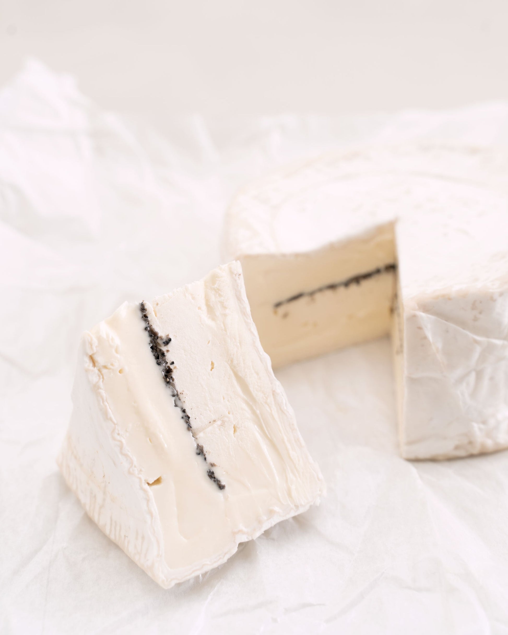 queso trufado con trufa negra