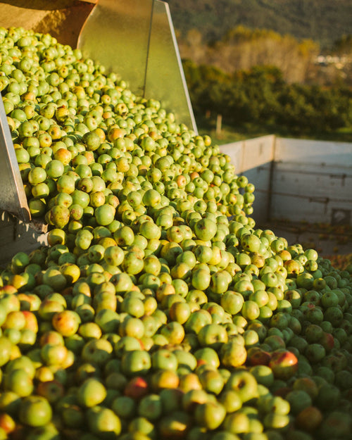 Zumiño de manzana, kale, pepino y jengibre 25 cl