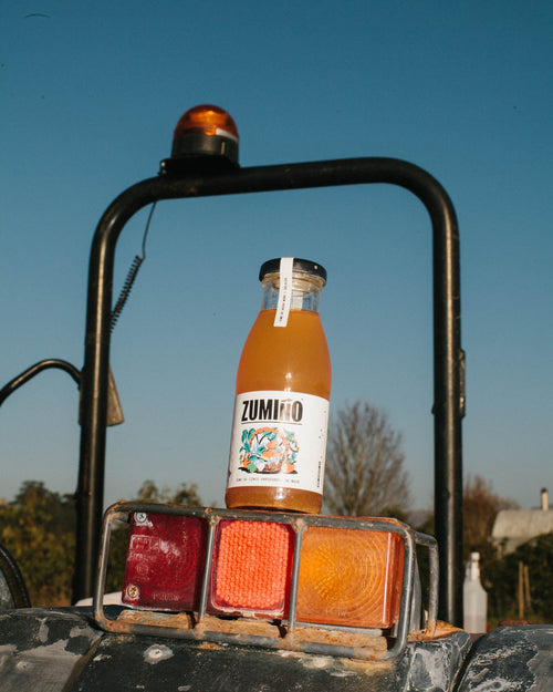 Zumiño de manzana, zanahoria y curcuma 25 cl